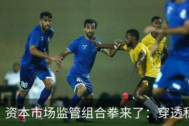 资本市场监管组合拳来了：穿透私募、约束AI、严打减持、畅通赔付